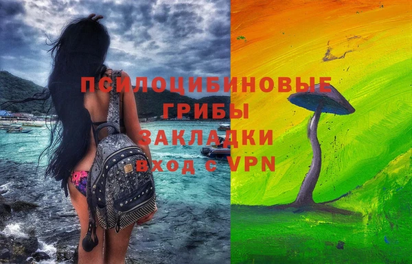 экстази Белокуриха