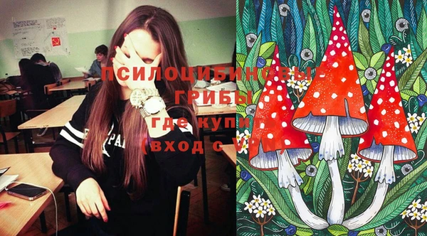 экстази Белокуриха