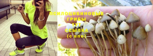 прущие грибы Козловка