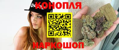шишки Бийск