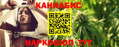шишки Бийск