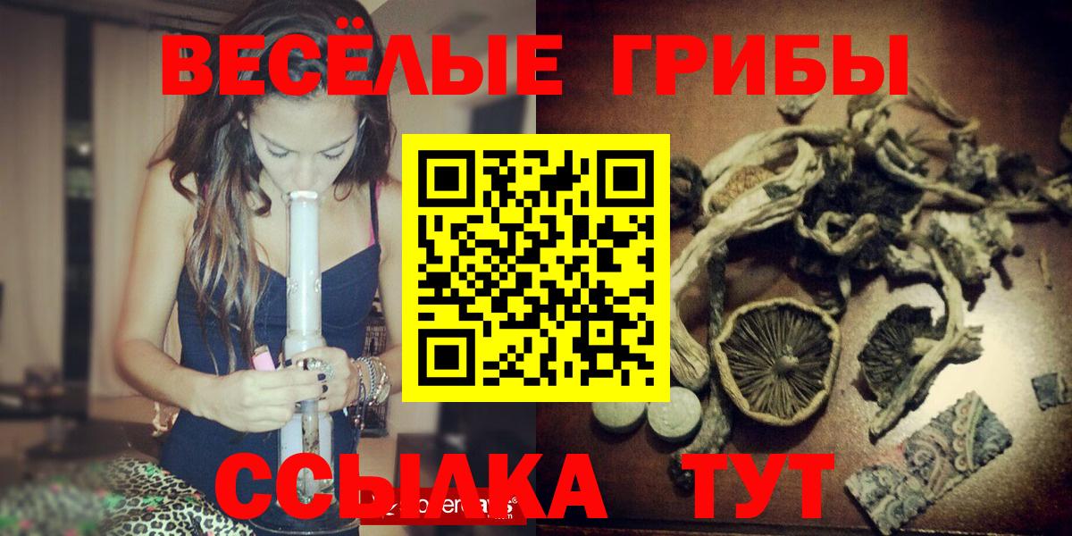 Псилоцибиновые грибы Cubensis Великие Луки